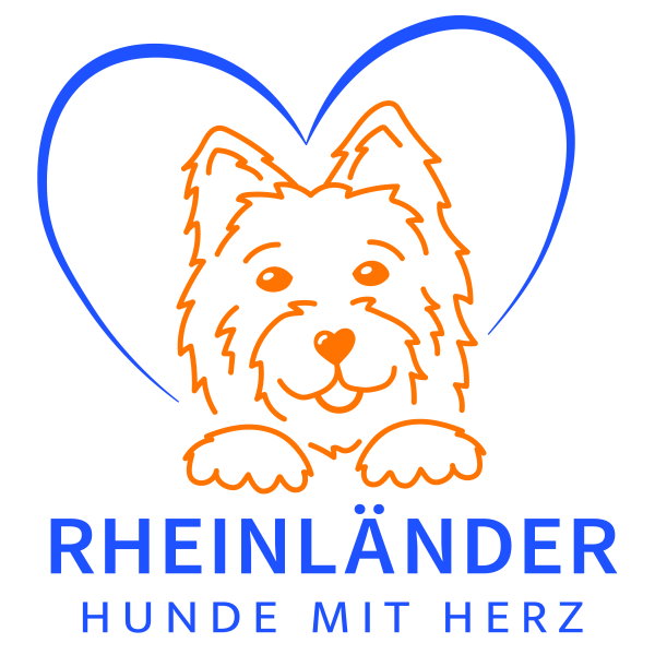 Rheinländer von den Mainauen